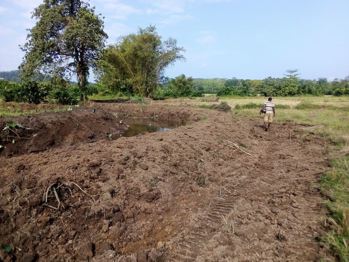 Rehabilitating a canal system that had not been cleared in seventy years.